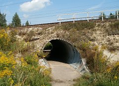 IMG_x18064_X44_P09010554_cr