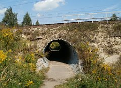 IMG_x18064_X44_P09010555_cr