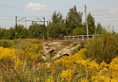 IMG_x18064_X44_P09010560_cr