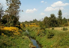 IMG_x18064_X44_P09010561_cr