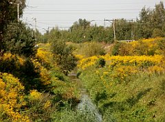 IMG_x18064_X44_P09010562_cr