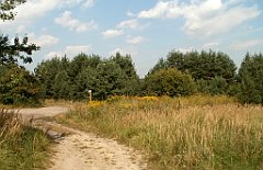 IMG_x18064_X44_P09010570_cr