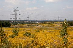 IMG_x18064_X44_P09010602_cr