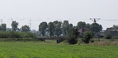 IMG_x19358_cr