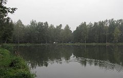 IMG_x19602_cr