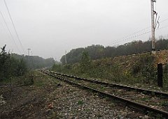 IMG_x19644_cr