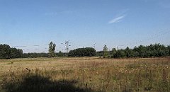 IMG_x20178_cr