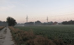 IMG_x20643_cr