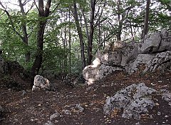 2011_09_17_Jaroszowiec_Slawkow