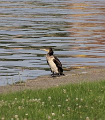 2012-07-02_19-24-02_IMG_x27239_cr