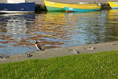 2012-07-02_19-24-34_P1060193_cr