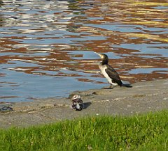 2012-07-02_19-24-34_P1060193k_cr