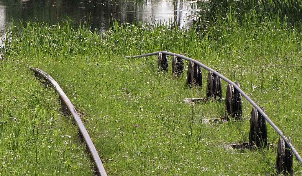 2012-07-02_10-55-19_IMG_x26869a_cr.jpg -                                