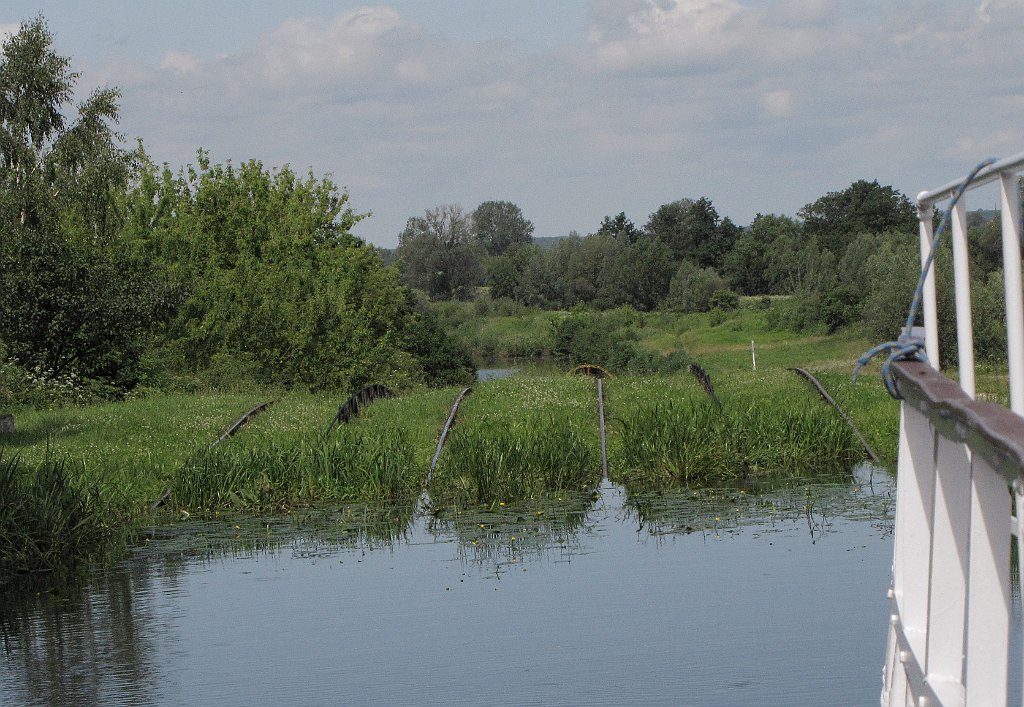 2012-07-02_10-59-26_IMG_x26886_cr.jpg -                                