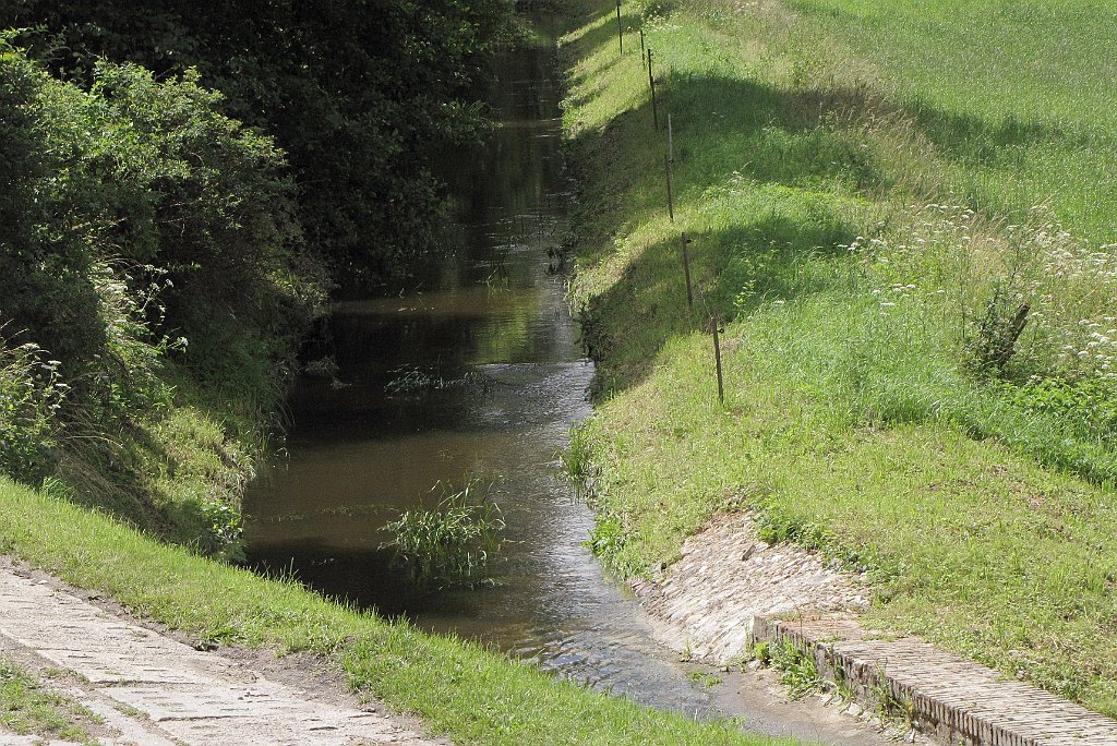 2012-07-02_11-54-30_IMG_x26977_cr.jpg -                                