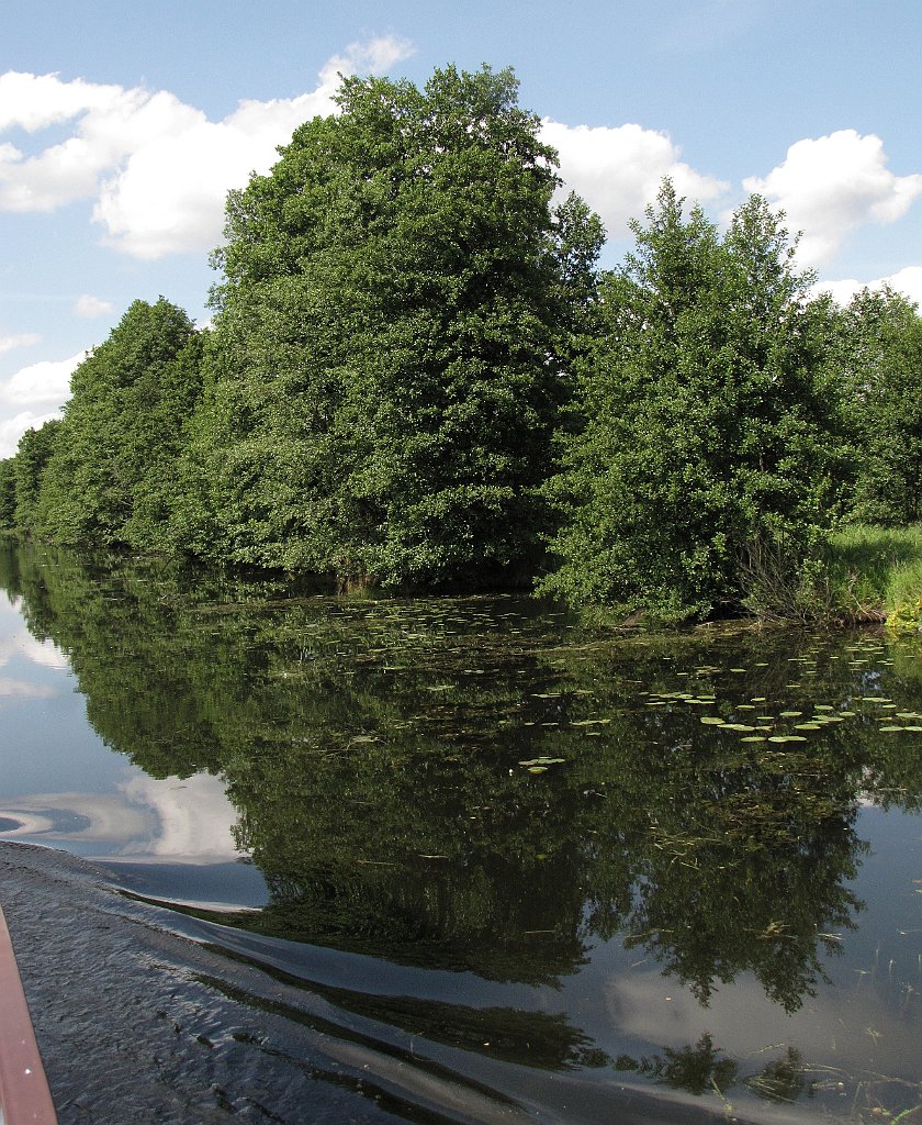 2012-07-02_15-02-47_IMG_x27071_cr.jpg -                                