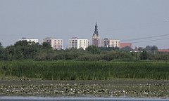 2012-07-02_09-25-36_IMG_x26782_cr