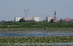 2012-07-02_09-29-38_IMG_x26786_cr