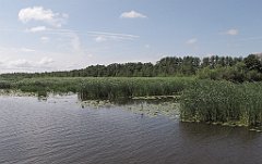 2012-07-02_09-33-43_IMG_x26804_cr