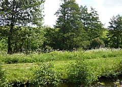 2012-07-02_11-43-44_P1060115_cr