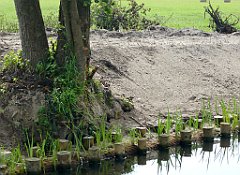 2012-07-02_15-26-21_P1060145_cr