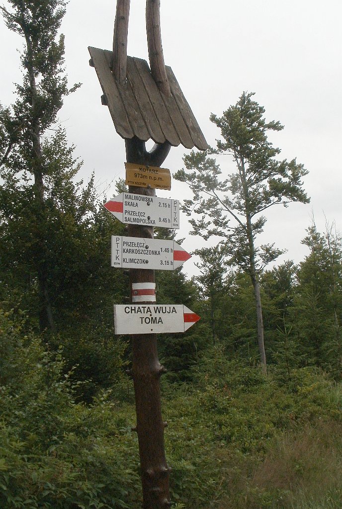 X44_P07130151_cr.jpg - OLYMPUS DIGITAL CAMERA         