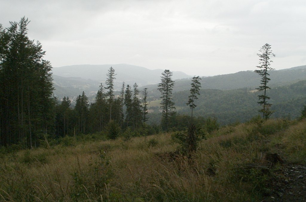 X44_P07130203_cr.jpg - OLYMPUS DIGITAL CAMERA         