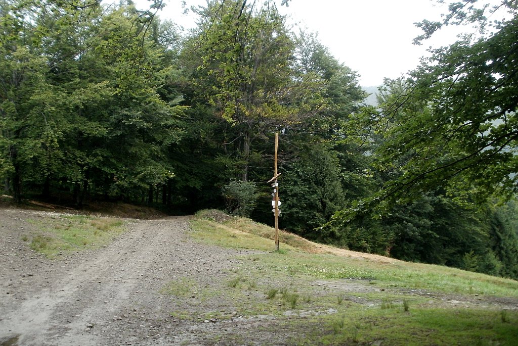 X44_P07130206_cr.jpg - OLYMPUS DIGITAL CAMERA         