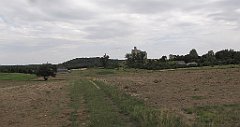 IMG_x28702_cr