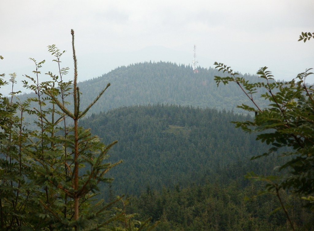 IMG_x29814_X44_P08150273_cr.jpg - OLYMPUS DIGITAL CAMERA         