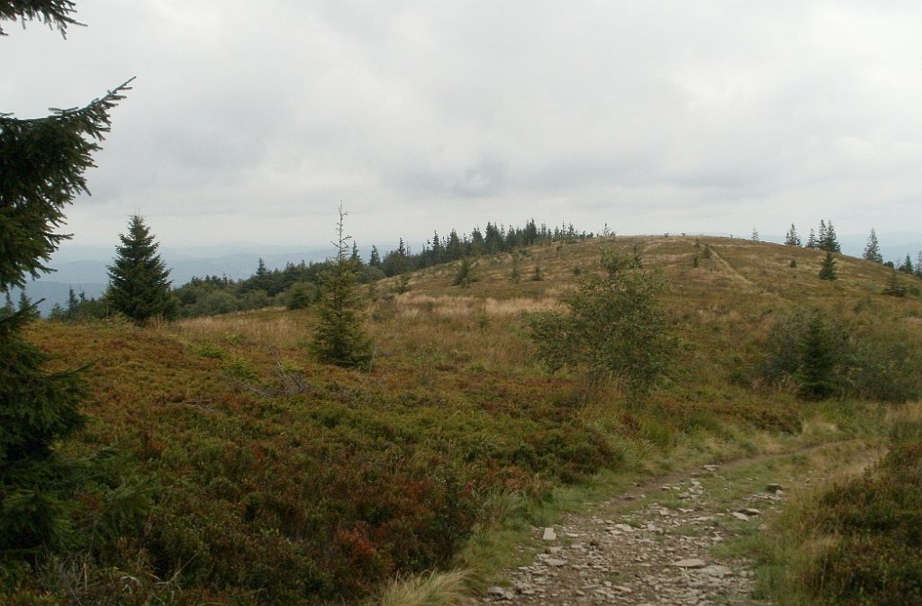 IMG_x29814_X44_P08150278_cr.jpg - OLYMPUS DIGITAL CAMERA         