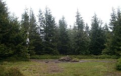 IMG_x29812_X44_P08150241_cr