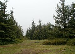 IMG_x29812_X44_P08150244_cr