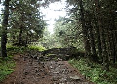 IMG_x29812_X44_P08150246_cr