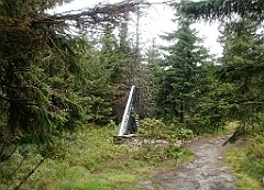 IMG_x29814_X44_P08150256_cr