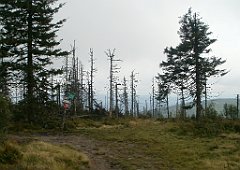 IMG_x29814_X44_P08150264_cr