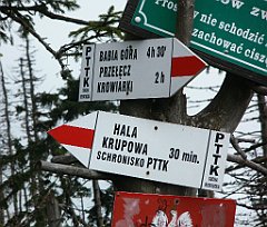 IMG_x29814_X44_P08150266_cr