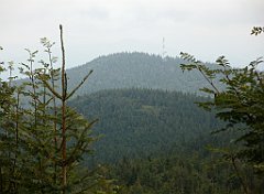 IMG_x29814_X44_P08150273_cr