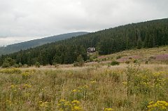 IMG_x29814_X44_P08150310_cr