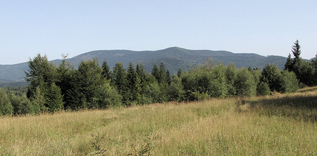 IMG_x30725a_cr.jpg -                                