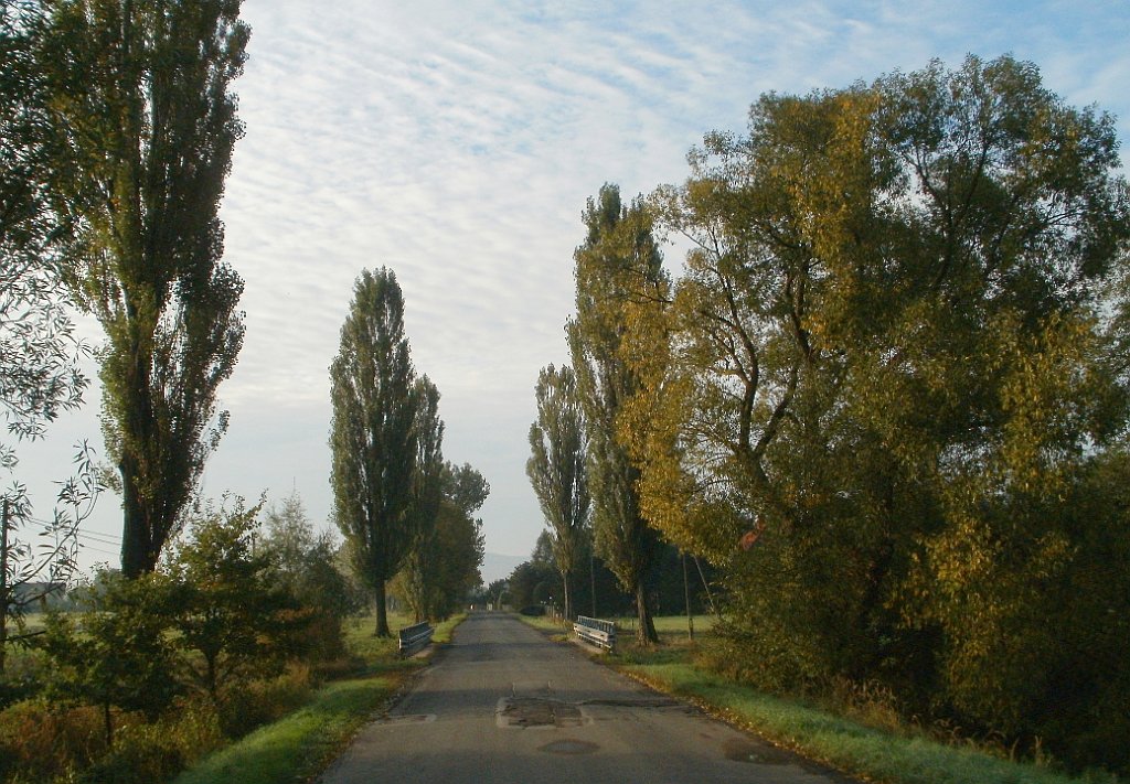 IMG_x33700_X44_P09230846_cr.jpg - OLYMPUS DIGITAL CAMERA         