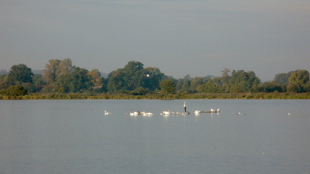 IMG_x33700_X44_P09230852_cr.jpg - OLYMPUS DIGITAL CAMERA         