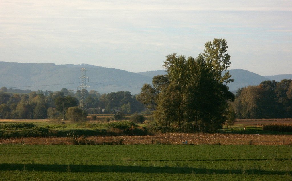 IMG_x33700_X44_P09230858_cr.jpg - OLYMPUS DIGITAL CAMERA         