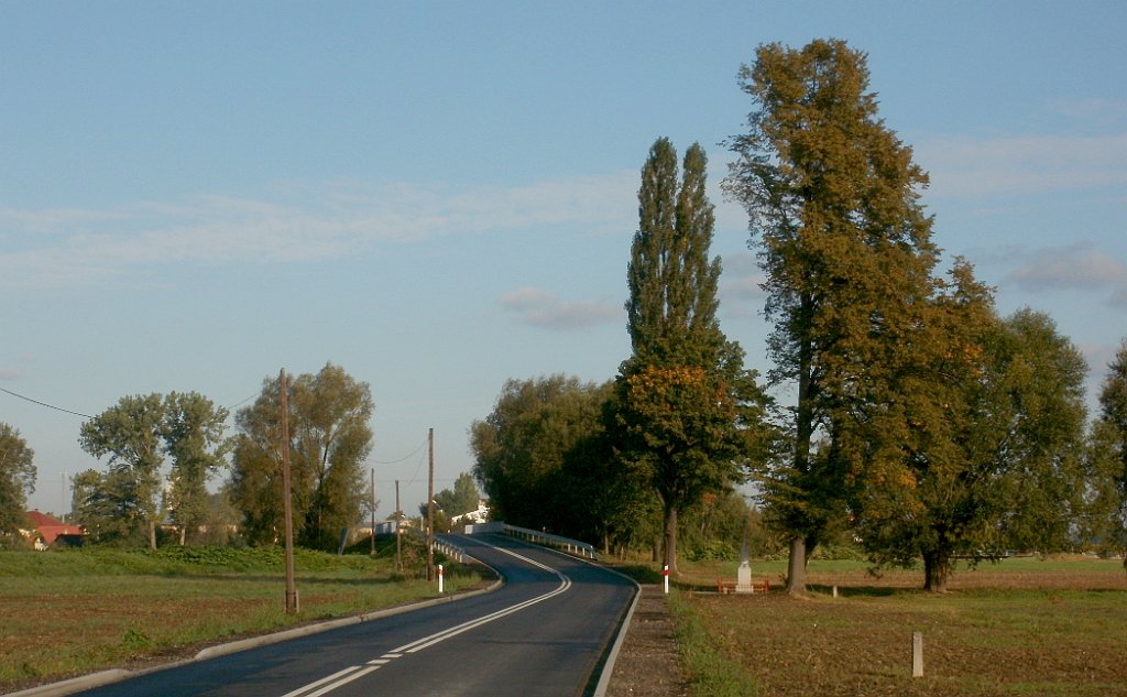 IMG_x33700_X44_P09230866_cr.jpg - OLYMPUS DIGITAL CAMERA         