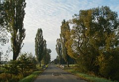 IMG_x33700_X44_P09230846_cr