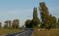 IMG_x33700_X44_P09230866_cr