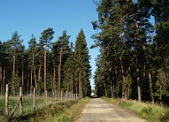 2012_08_28_Bibiela_Siewierz