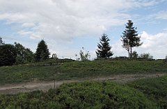 IMG_x39584_cr