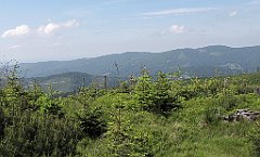 IMG_x40322_cr