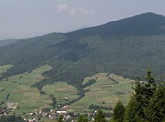 144_IMG_x40786_cr